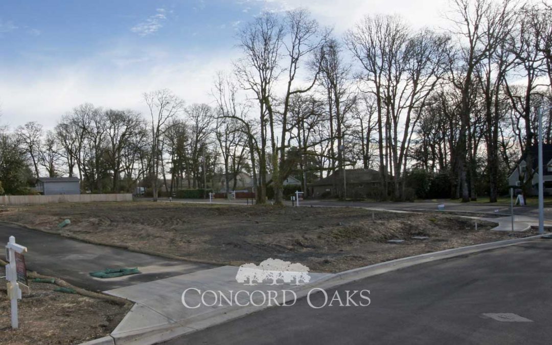 Concord Oaks